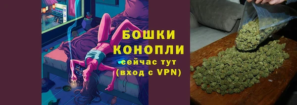 хмурый Арсеньев