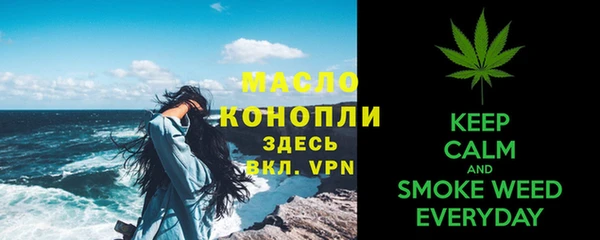 хмурый Арсеньев