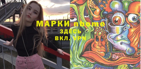 хмурый Арсеньев