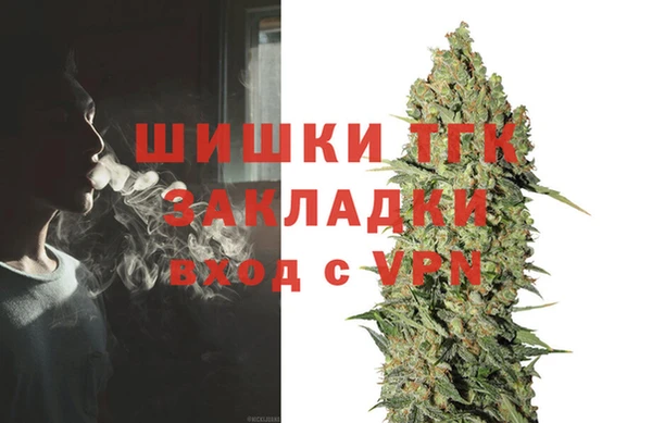 хмурый Арсеньев
