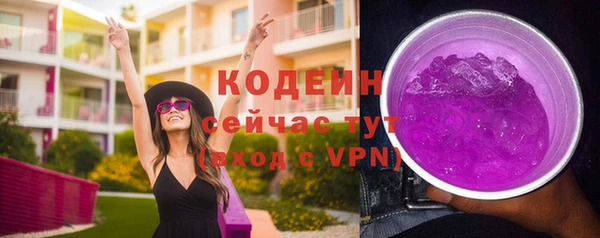 хмурый Арсеньев