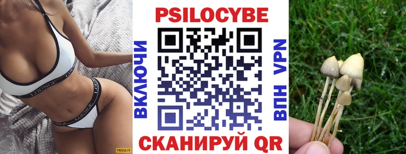 Псилоцибиновые грибы ЛСД Петровск